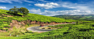 Tours of South India Munnar Timeline